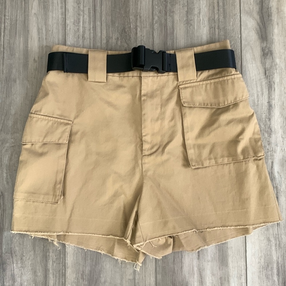 Aritzia Cargo Shorts